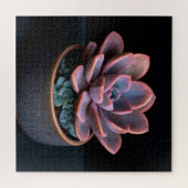 Puzzle Succulente (Horizontal)