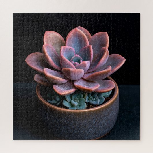 Puzzle Succulente (Vertical)