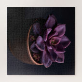 Puzzle Succulente (Horizontal)