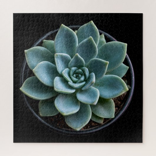 Puzzle Succulente (Vertical)