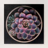 Puzzle Succulente (Horizontal)