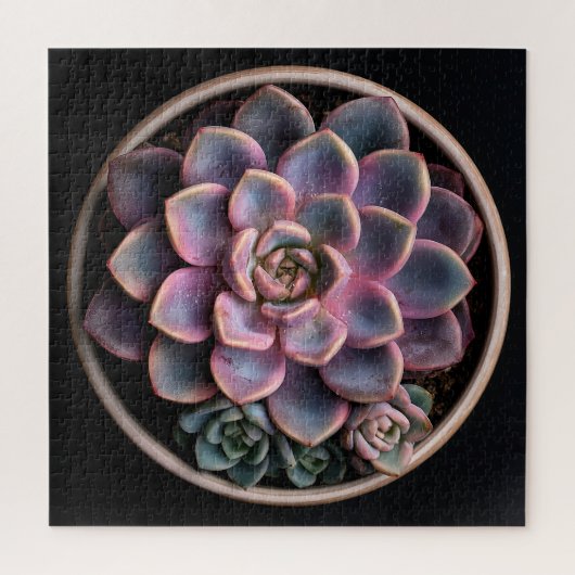 Puzzle Succulente (Vertical)