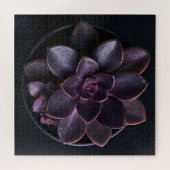 Puzzle Succulente (Horizontal)
