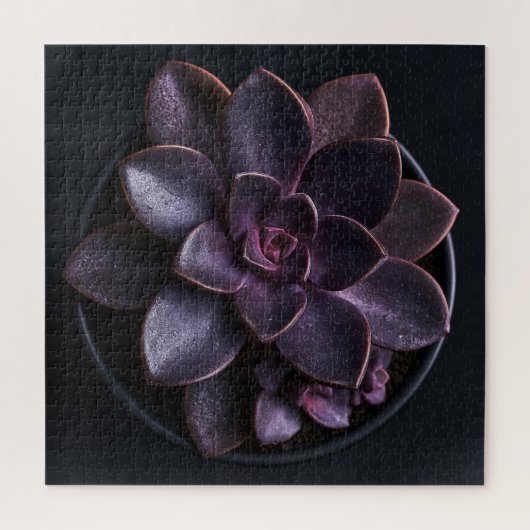Puzzle Succulente (Vertical)