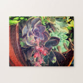 Puzzle Succulents (Horizontal)