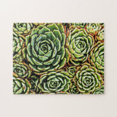 Puzzle Succulents (Horizontal)