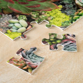 Puzzle Succulents colorés (Côté)