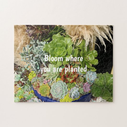 Puzzle Succulents colorés à l'herbe argentée (Horizontal)