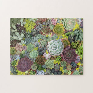 Puzzle Succulents de verdure