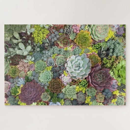 Puzzle Succulents de verdure (Horizontal)
