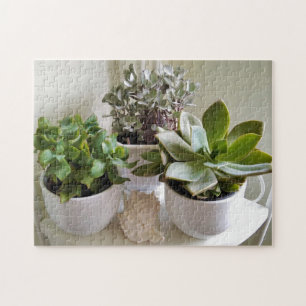 Puzzle Succulents mignons en pots avec Coquillages Photo