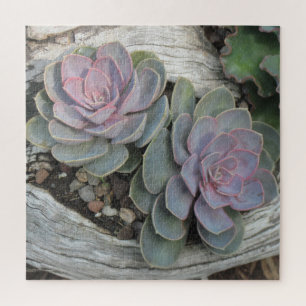 Puzzle Succulents sur bois de chauffe