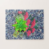 Puzzle Succulents sur un lit de rivière (Horizontal)
