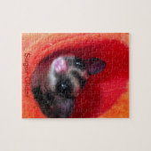 Puzzle Sugar Glider in Orange Hanging Bed (Horizontal)
