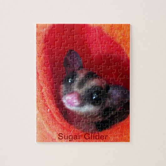 Puzzle Sugar Glider in Orange Hanging Bed (Vertical)