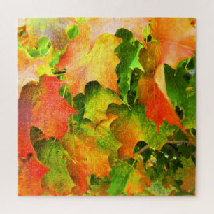 Puzzle Sugar Maple Leaves Autumn Splendor