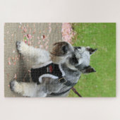 Puzzle Suki (Horizontal)