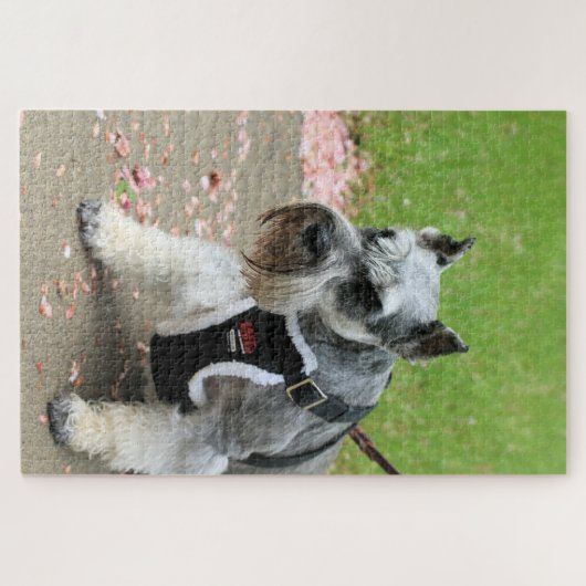 Puzzle Suki (Horizontal)