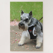 Puzzle Suki (Vertical)