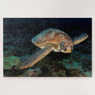 Puzzle Sulawesi  Tortue verte de mer