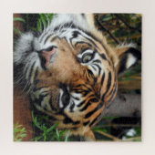 Puzzle Sumatran Tiger (Horizontal)