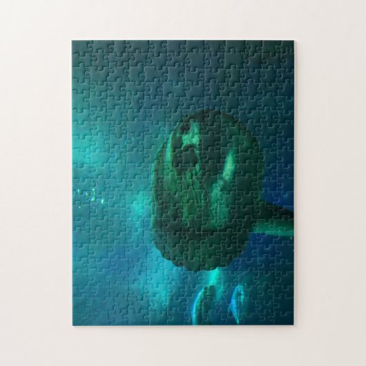 Puzzle Sun Fish. (Vertical)