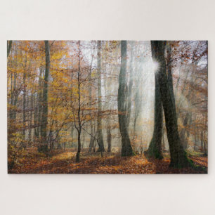 Puzzle Sun Rays Mystic Misty Forest