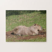 Puzzle Sunbathing Capybara (Horizontal)