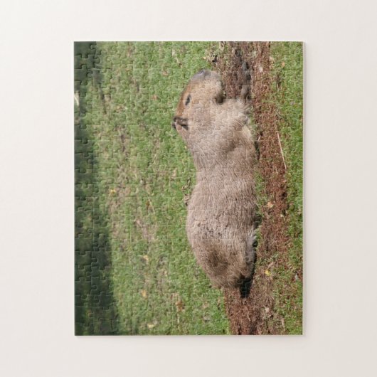 Puzzle Sunbathing Capybara (Vertical)