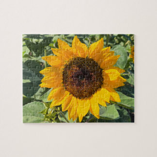 Puzzle Sunflower
