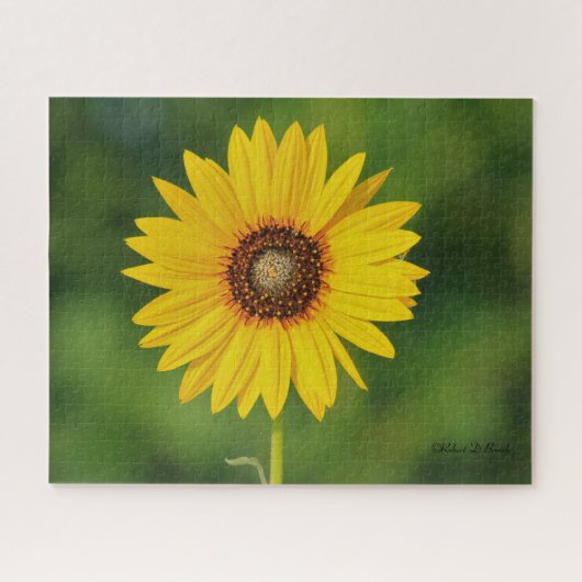 Puzzle Sunflower (Horizontal)
