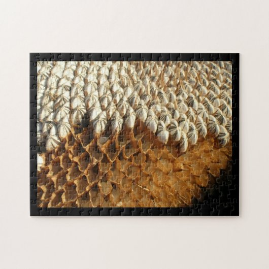 Puzzle - Sunflower Husks Legpuzzel (Horizontaal)