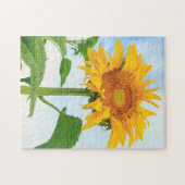 Puzzle Sunflower, jardin communautaire, Moses Lake, WA, É (Horizontal)