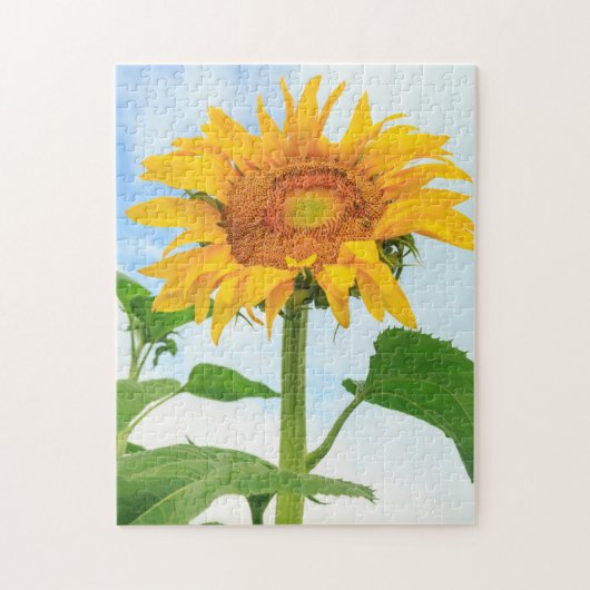 Puzzle Sunflower, jardin communautaire, Moses Lake, WA, É (Vertical)