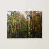 Puzzle Sunlit Fall Forest Paysage d'automne (Horizontal)
