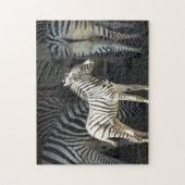 Puzzle Sunny Baby Zebra (Vertical)