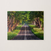 Puzzle Sunny Trees Road (Horizontal)