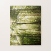 Puzzle Sunrays par des cimes d'arbre (Vertical)