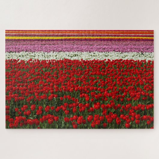 Puzzle Super Challenge Tulip Spring (Horizontal)