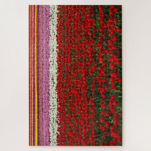 Puzzle Super Challenge Tulip Spring (Vertical)
