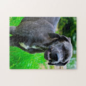 Puzzle Super Dane. (Horizontal)