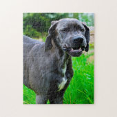 Puzzle Super Dane. (Vertical)