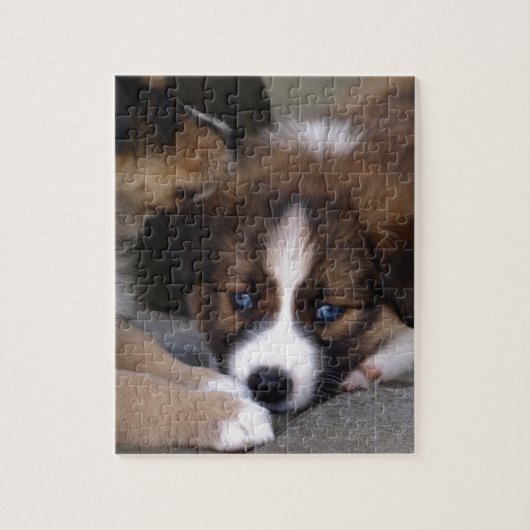 Puzzle Super mignonne Chien Australien (Vertical)