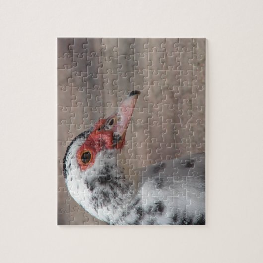 Puzzle Superbe Muscovy Hen Duck (Vertical)