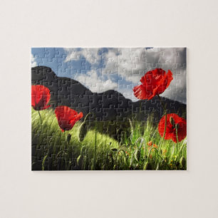 Puzzle sur la faune-Coquelicots rouges