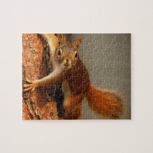 Puzzle sur la faune-Écureuil Puzzle (Horizontal)