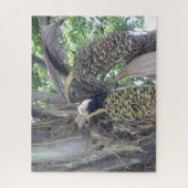 Puzzle sur la faune : Singe capucin mignon dans l' (Vertical)