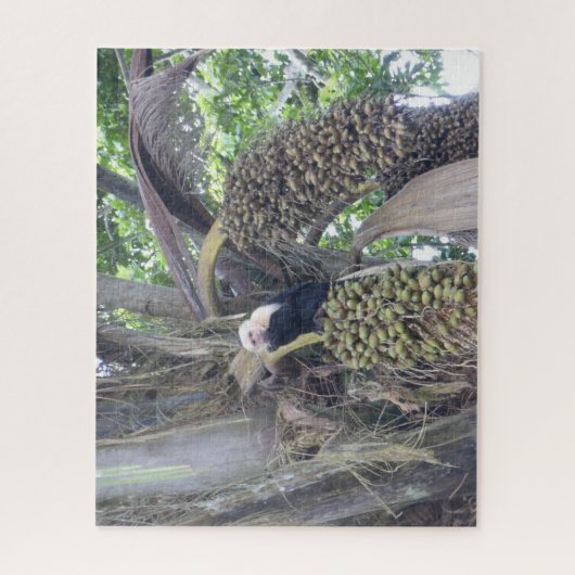 Puzzle sur la faune : Singe capucin mignon dans l' (Vertical)