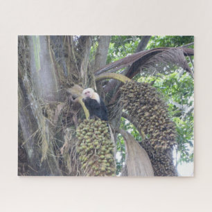 Puzzle sur la faune : Singe capucin mignon dans l'