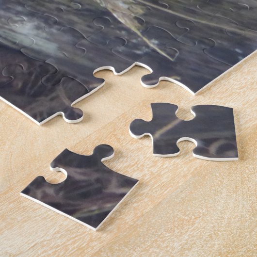 Puzzle sur la faune : Singe capucin mignon dans l' (Côté)